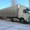 перевозка скота в России в Белгороде