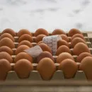 Новый цех производительностью 10 млн яиц в год откроется в Буйнакском районе Дагестана