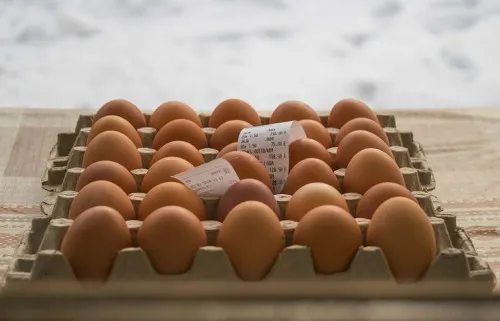 Новый цех производительностью 10 млн яиц в год откроется в Буйнакском районе Дагестана