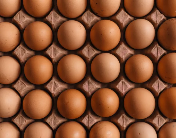 Управлением Россельхознадзора по Дагестану пресечена попытка ввоза более 390 тыс. штук инкубационных яиц